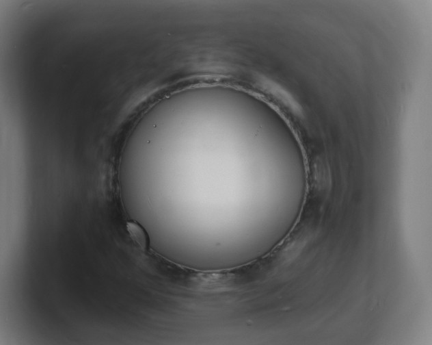 X0000101671352200807171327