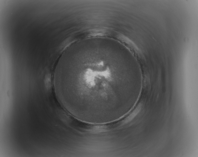 X0000101671353200807171327
