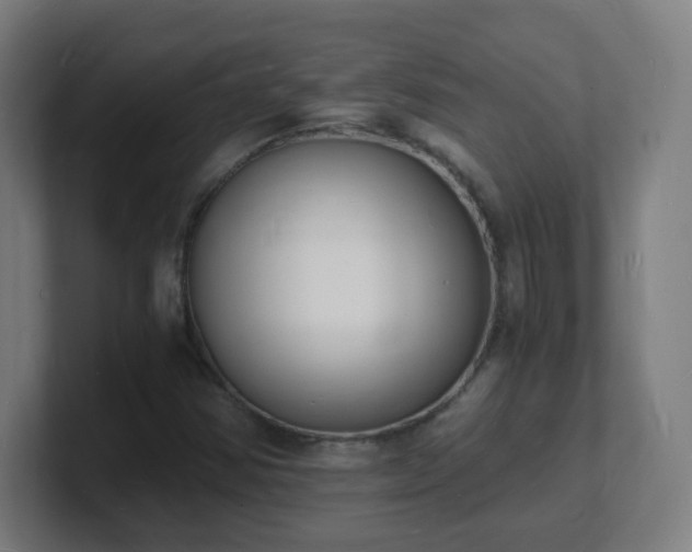 X0000101671354200807171327