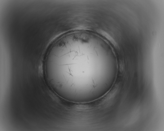 X0000101671356200807171327