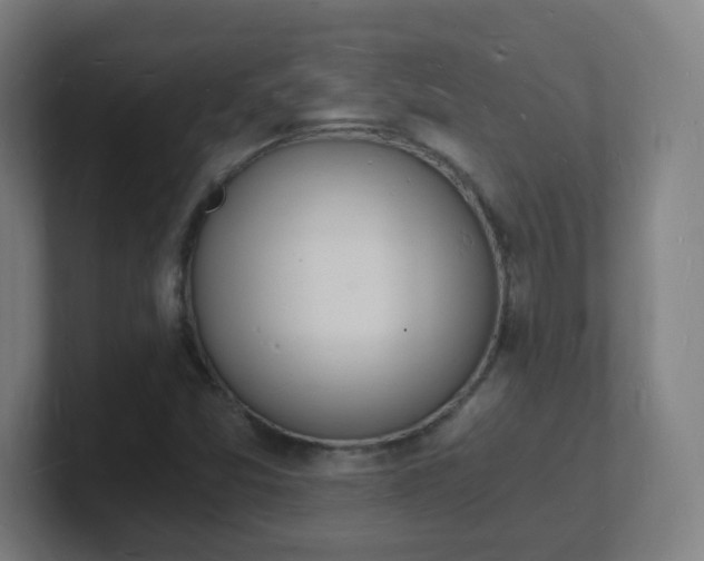 X0000101671357200807171327
