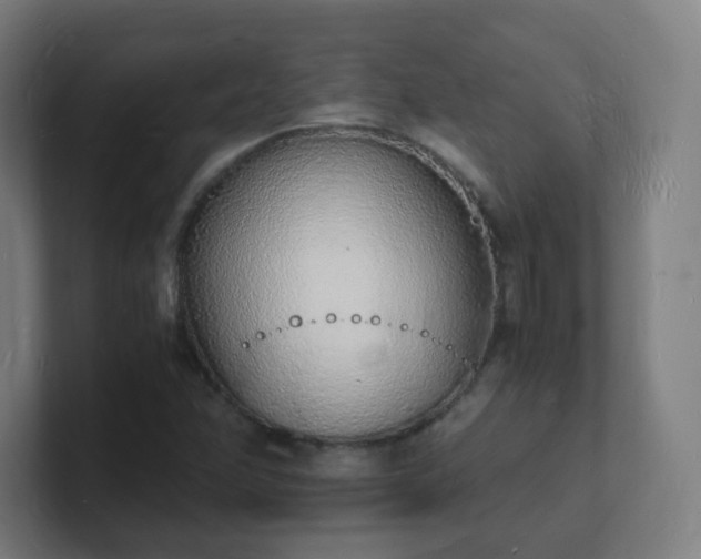 X0000101671358200807171327