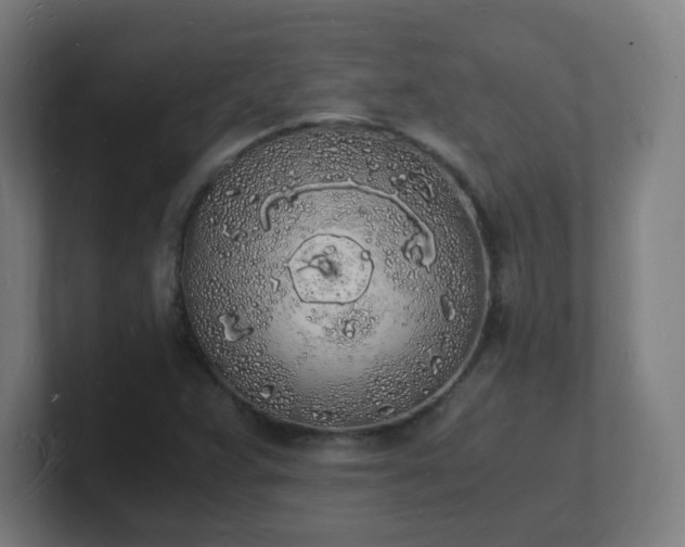 X0000101671359200807171327