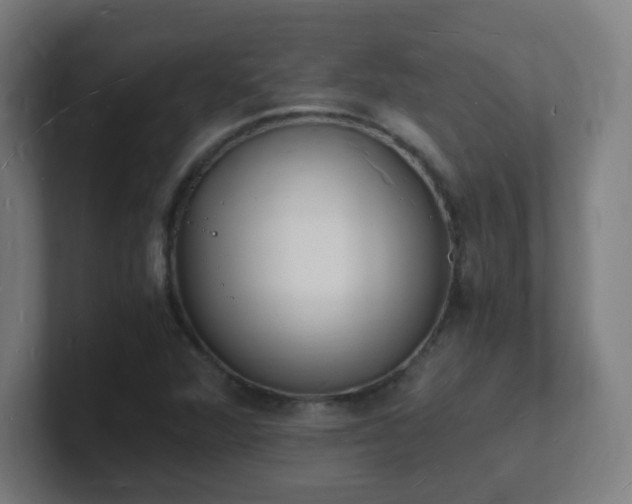 X0000101671360200807171327