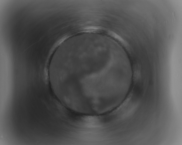 X0000101671362200807171327