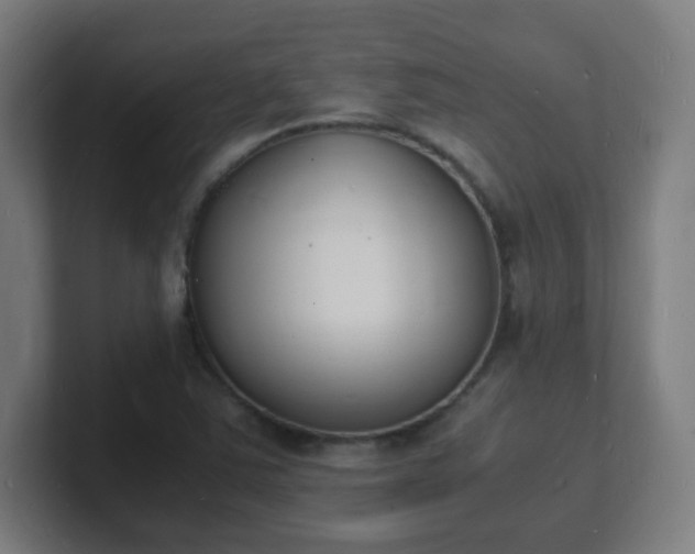 X0000101671363200807171327