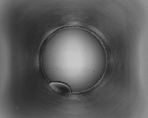 X0000101671364200807171327