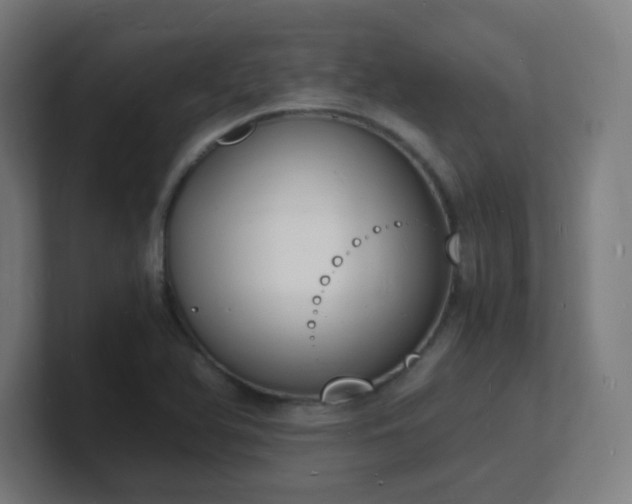 X0000101671366200807171327