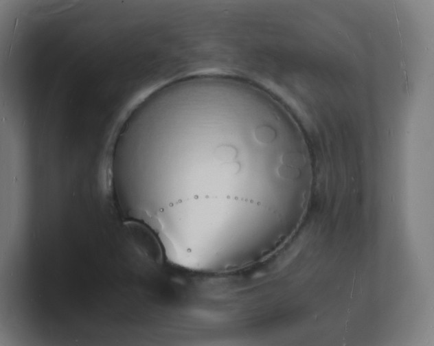 X0000101671367200807171327