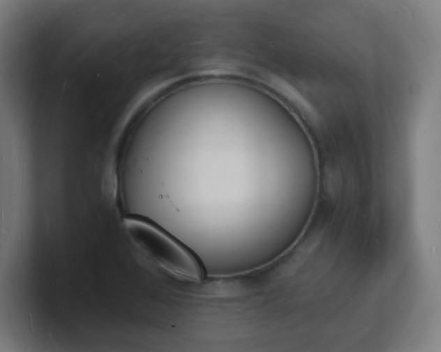 X0000101671368200807171327