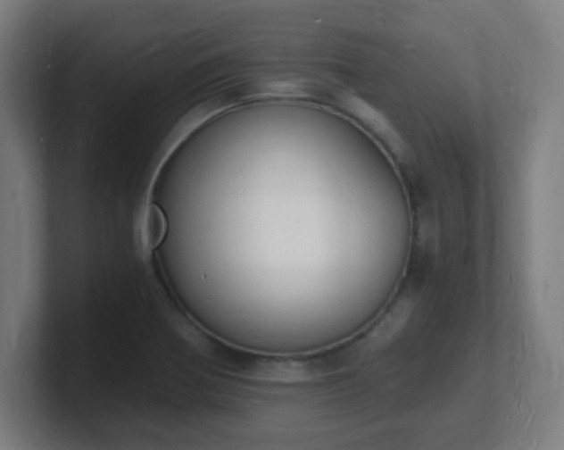 X0000101671370200807171327