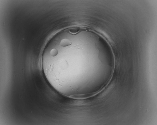 X0000101671371200807171326