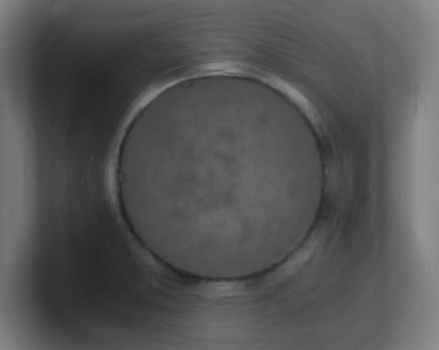 X0000101671373200807171326