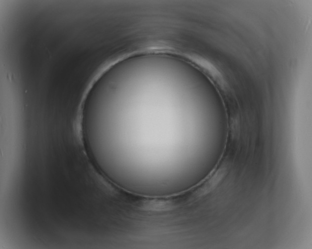 X0000101671374200807171326