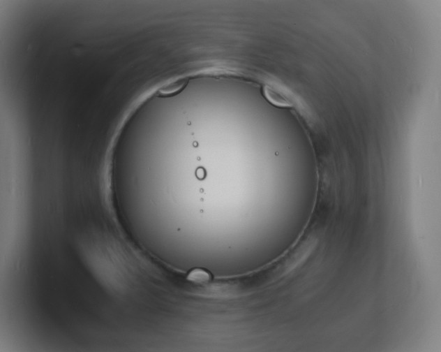X0000101671375200807171326