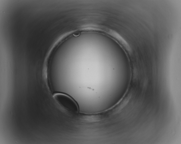 X0000101671376200807171326