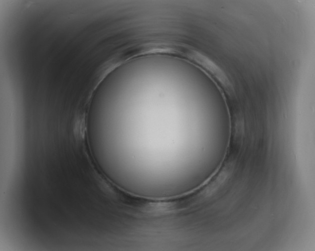 X0000101671377200807171326