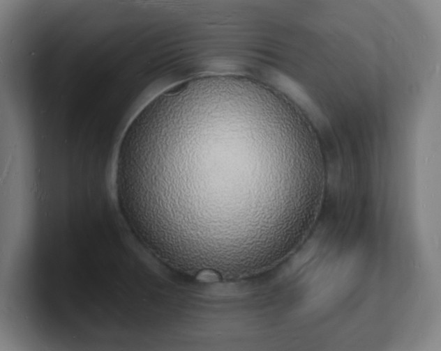 X0000101671378200807171326