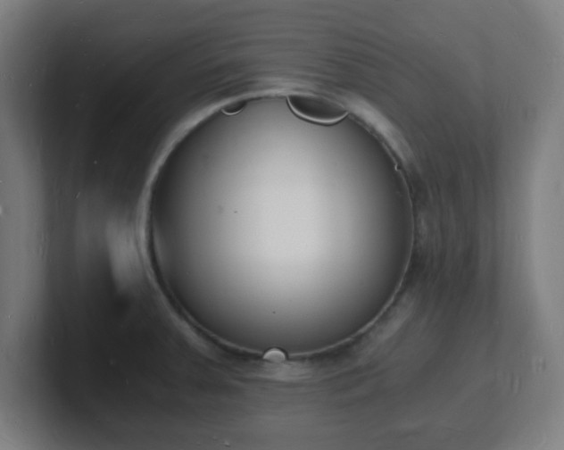 X0000101671379200807171326