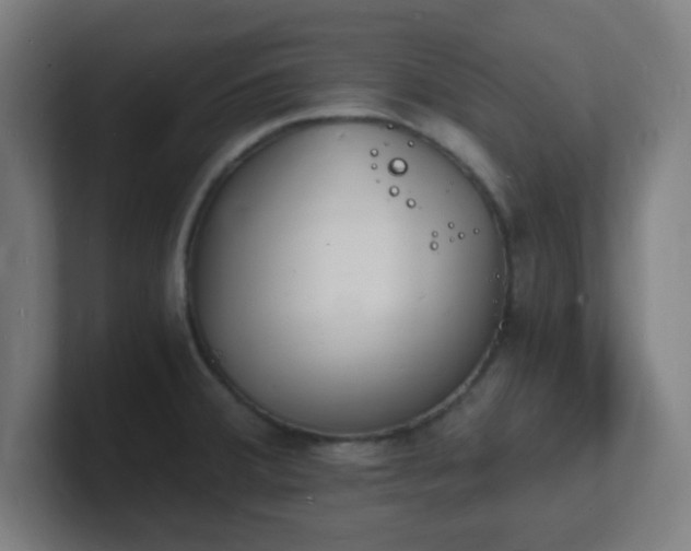 X0000101671380200807171326
