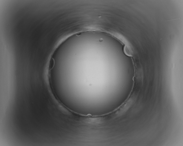 X0000101671381200807171326