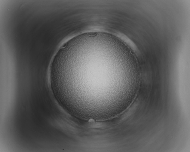 X0000101671382200807171326