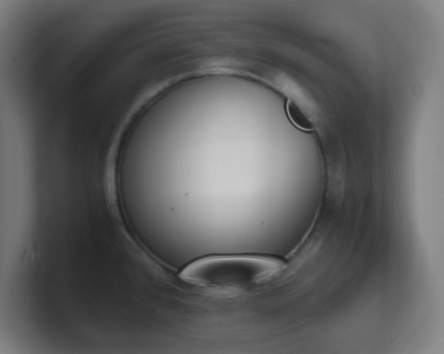 X0000101671384200807171326