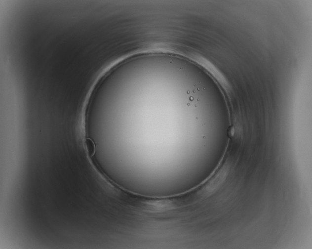 X0000101671388200807171326