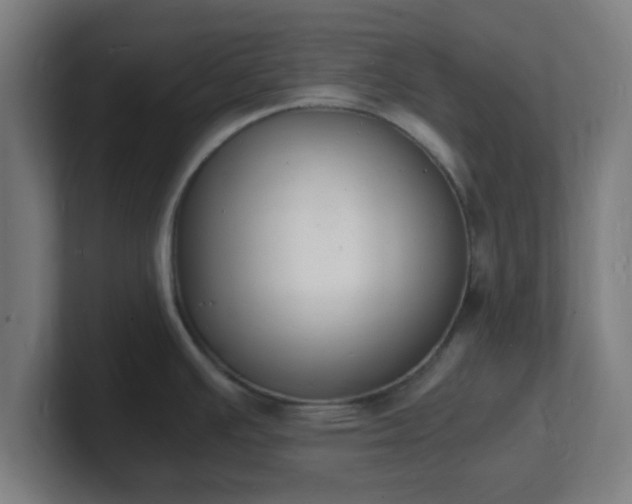 X0000101671391200807171326