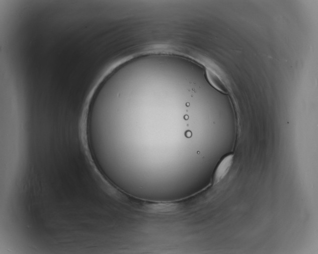 X0000101671392200807171326