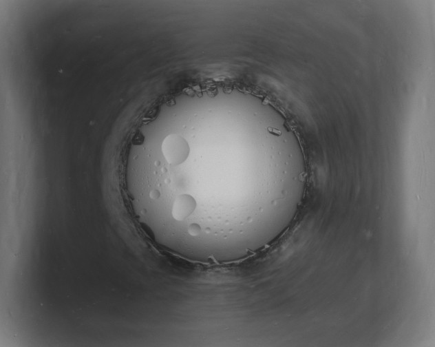 X0000101671393200807171325