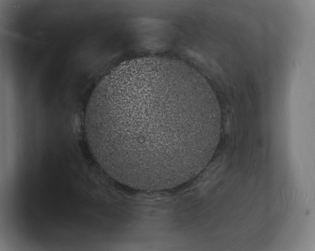 X0000101671397200807171326