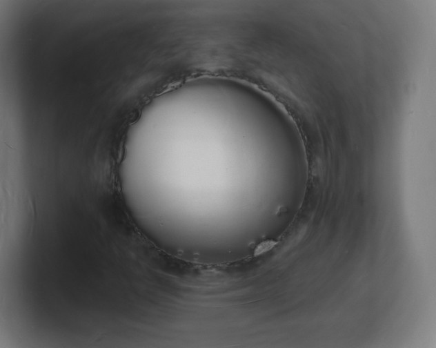 X0000101671398200807171326
