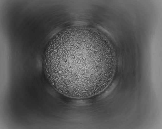 X0000101671401200807171326