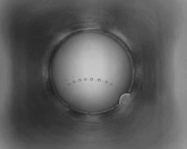X0000101671407200807171326