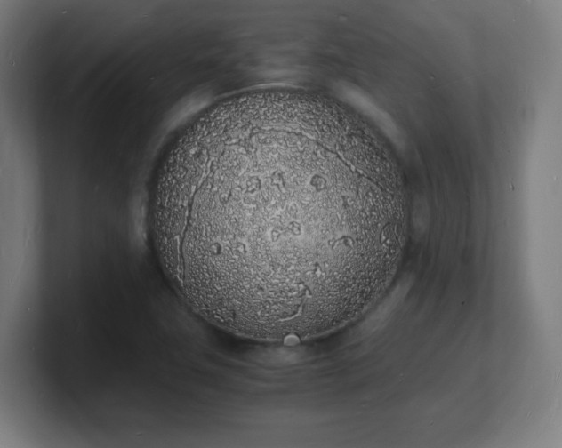 X0000101671411200807171326