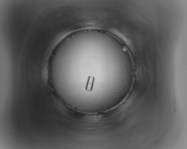 X0000101671415200807171326