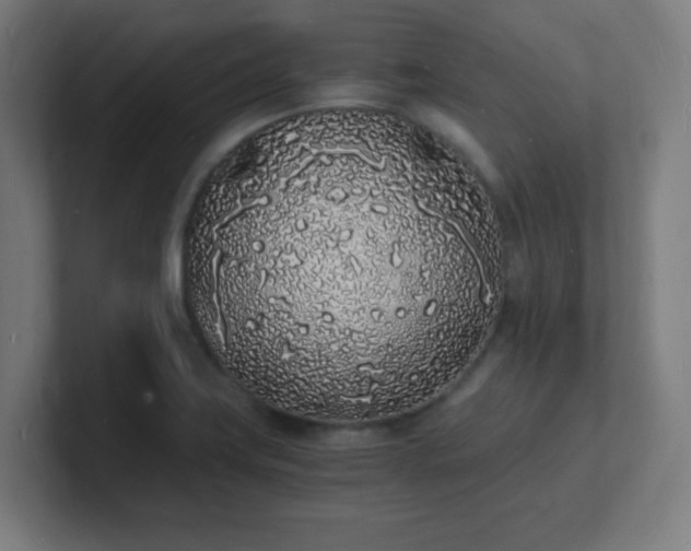 X0000101671419200807171326