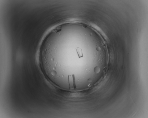 X0000101671421200807171326
