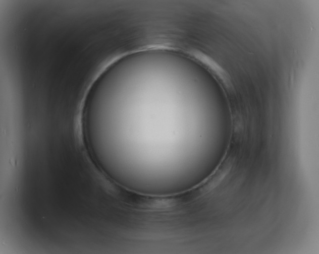 X0000101671423200807171326
