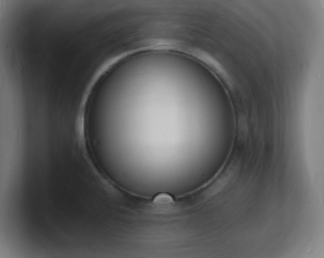 X0000101671424200807171326
