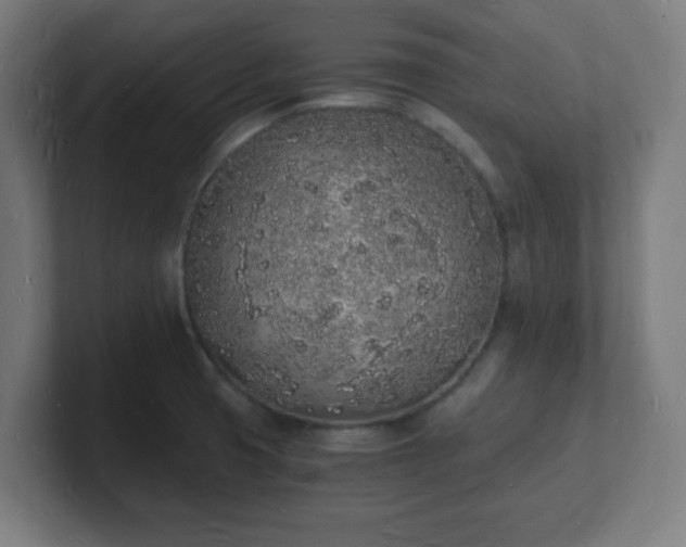 X0000101671425200807171326