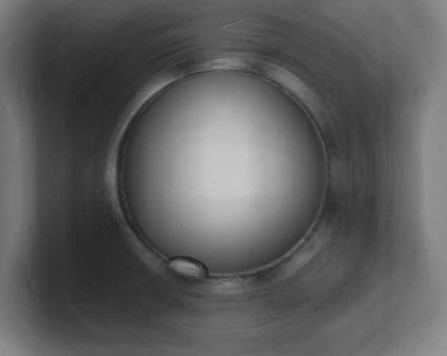 X0000101671426200807171326