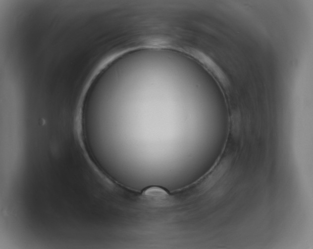 X0000101671432200807171326
