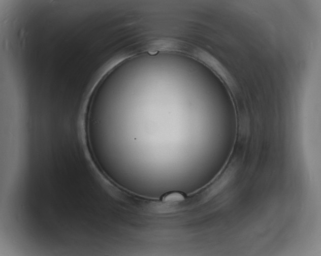 X0000101671434200807171326