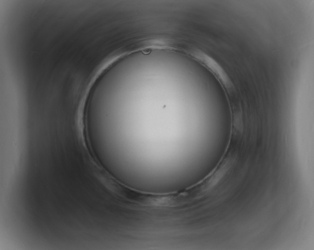 X0000101671435200807171326