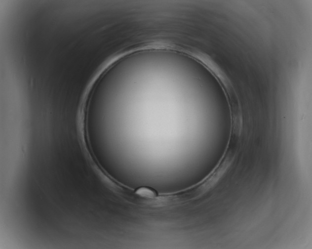 X0000101671438200807171326