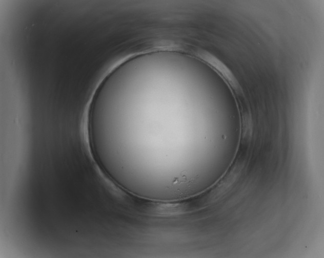 X0000101671439200807171326