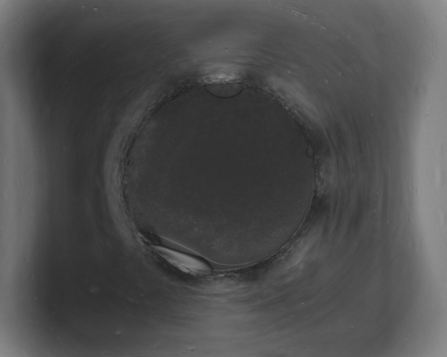 X0000101671441200807171325