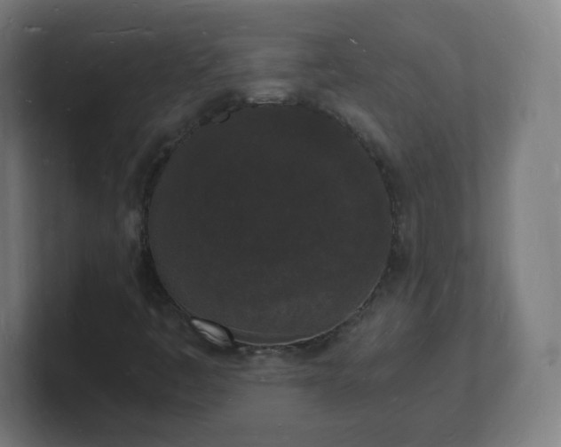 X0000101671445200807171325